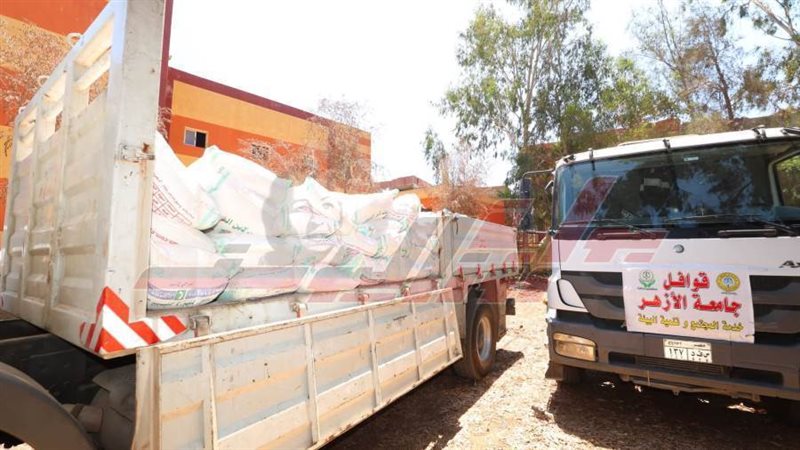 السلع الأساسية