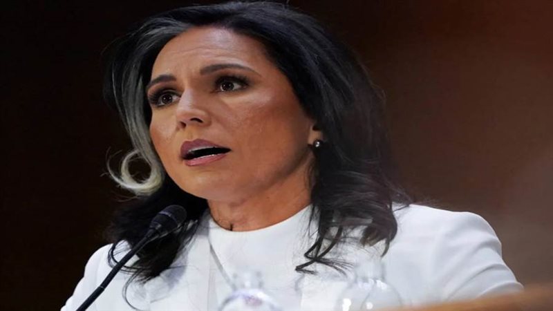 تيلسي جابارد مديرة