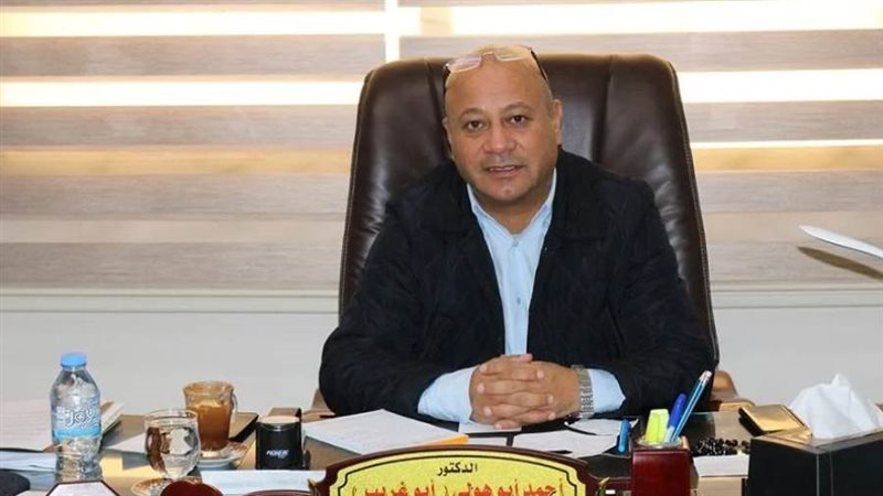 أحمد أبو هولي