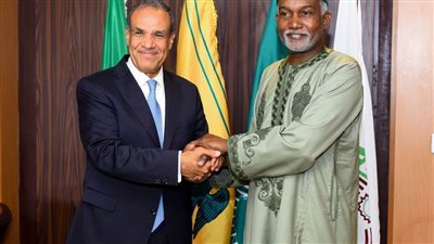 وزير الخارجية يعقد جلسة مباحثات ثنائية مع نظيره النيجيري بـ