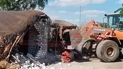 تنفيذ 11 قرار إزالة للتعديات على الأراضي الزراعية وأملاك الدولة بكفر الشيخ