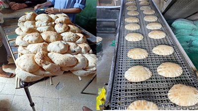 وكيل وزارة التموين بالمنيا يواصل حملاته المكثفة ويضبط 110 مخالفات متنوعة لضبط الأسواق والمخابز