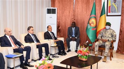 وزير الخارجية يسلم رئيس مالي رسالة خطية من الرئيس السيسي