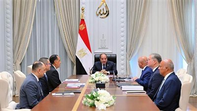 عاجل| الرئيس السيسي يؤكد أهمية مشروعات البتروكيماويات لتعظيم القيمة المضافة لثروات مصر