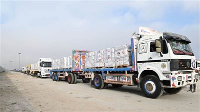 الإمارات تعلن دخول 38 شاحنة مساعدات إنسانية إلى غزة 