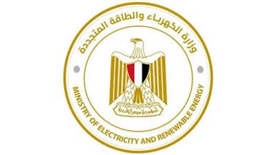 عاجل| الكهرباء: الأطقم الفنية تنجح في إعادة التيار لشبكة التوزيع بجزيرة الدهب