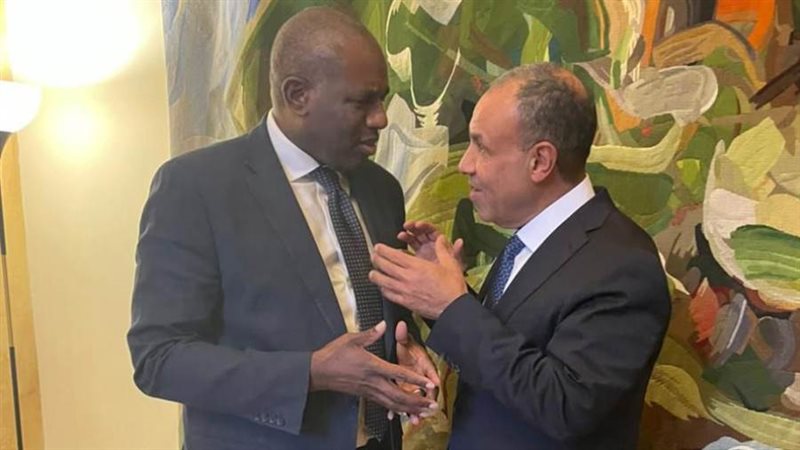 بدر عبد العاطى وزير