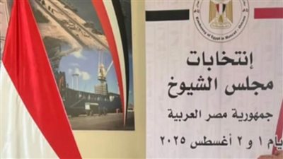 سفير مصر بالسنغال: التصويت في بعثنا بداكار يسير بسلاسة وانتظام ووسط أجواء وطنية