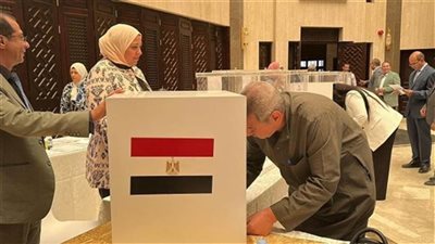 المصريون بإيطاليا يتوافدون للإدلاء بأصواتهم في اليوم الثاني لانتخابات مجلس الشيوخ