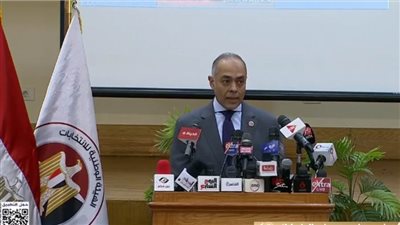 سفير مصر بالدنمارك: المصريين بالخارج لديهم وعي كبير بأهمية المشاركة في انتخابات الشيوخ