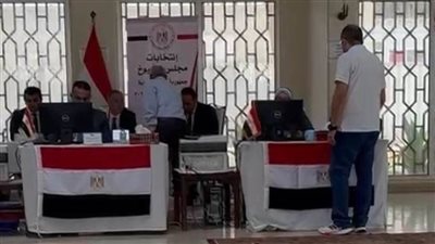 أبناء الجالية المصرية في اليونان ولبنان وسلطنة عمان يواصلون الإدلاء بأصواتهم في انتخابات الشيوخ