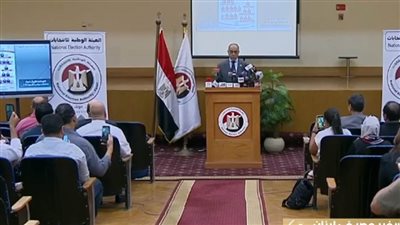 سفير مصر في لبنان: انتخابات الشيوخ تسير بشكل سلس.. وننسق مع السلطات اللبنانية لتأمين المقار الانتخابية