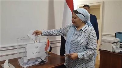 أبناء الجالية المصرية بالنمسا وروسيا واليونان يواصلون الإدلاء بأصواتهم في انتخابات الشيوخ