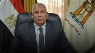 محافظ الوادي الجديد: حل مشكلة انقطاع الكهرباء بالفرافرة وقرى الثمانين