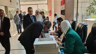 عمليات تصويت المصريين بانتخابات الشيوخ في لبنان والإمارات والدنمارك تجرى بسلاسة ووسط تنظيم محكم