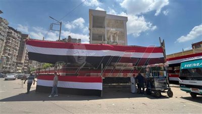 محافظة الدقهلية تنهي استعداداتها لانطلاق انتخابات مجلس الشيوخ.. غدًا