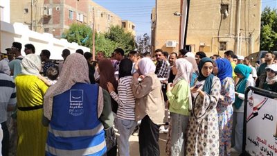 حضور مبكر ومشهد منضبط.. انطلاق تصويت الشيوخ في الوادي الجديد