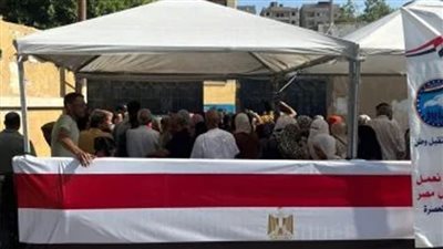 إقبال كبير من الناخبين للإدلاء بأصواتهم في صناديق الاقتراع بلجان القاهرة 