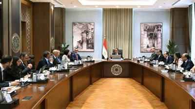 رئيس الوزراء يستعرض مشروعًا لاستغلال مواقع خام الرمال الكاولينية 