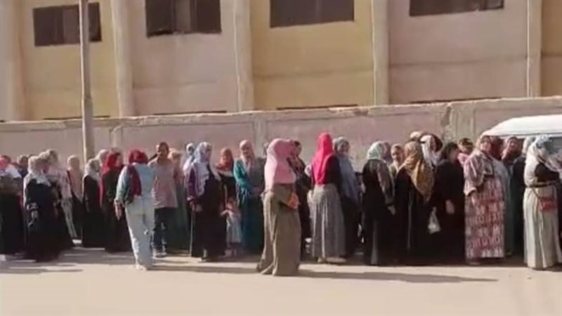 زحام أمام اللجان