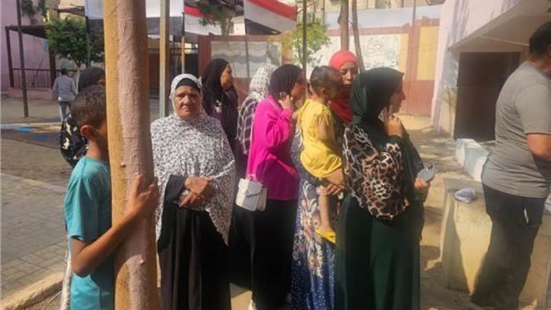 لجان انتخابات الشيوخ