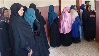 انتظام التصويت لليوم الثاني في انتخابات مجلس الشيوخ بأسوان