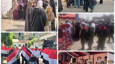 سيدات الخدمات الإدارية والاجتماعية والمعاقون في مقدمة صفوف انتخابات الشيوخ