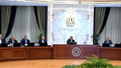 رئيس الوزراء يتابع جهود النهوض بصناعة الأسمدة 