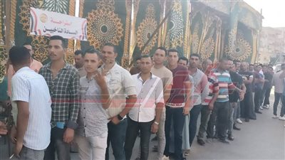 الشباب يسطرون ملحمة وطنية أمام اللجان الانتخابية بكفر الشيخ