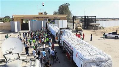 القافلة العاشرة من شاحنات المساعدات تدخل إلى غزة