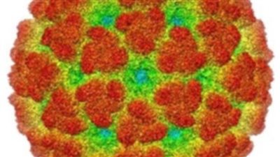 هل يتكرر سيناريو 