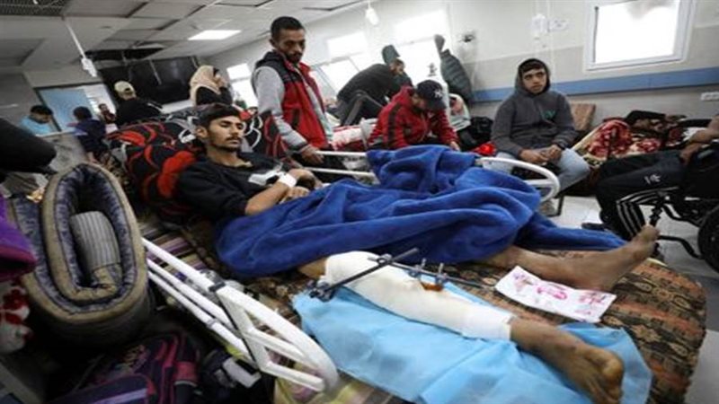 بوابة روز اليوسف