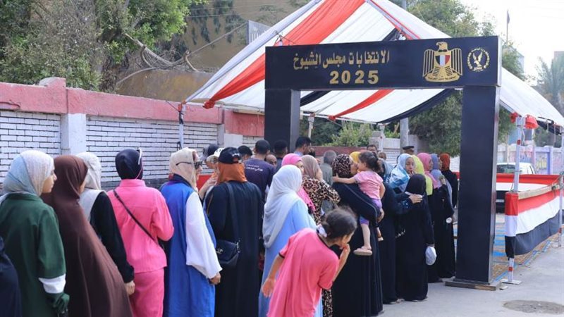 إقبال على لجان القليوبية