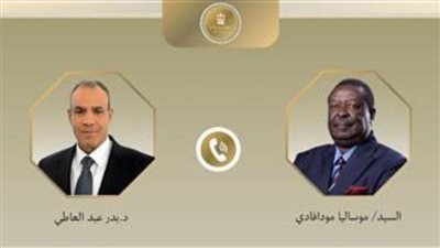 وزير الخارجية ونظيره الكيني يتباحثان هاتفيًا حول سبل تعزيز العلاقات الثنائية