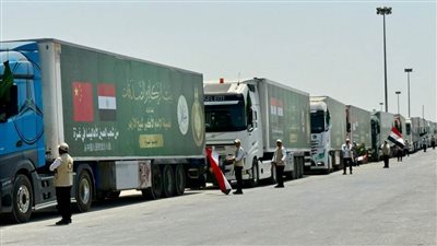 بتوجيهات شيخ الأزهر.. دخول قافلة «بيت الزكاة والصدقات» الإغاثية الحادية عشرة إلى أهالينا في غزة