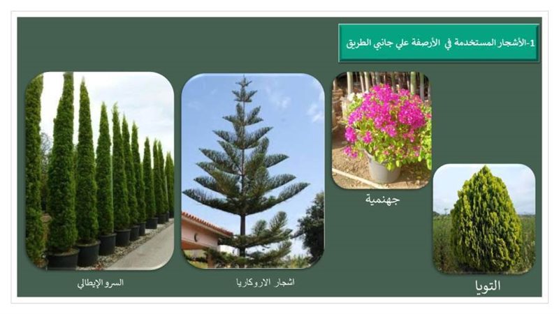 محافظة الإسكندرية