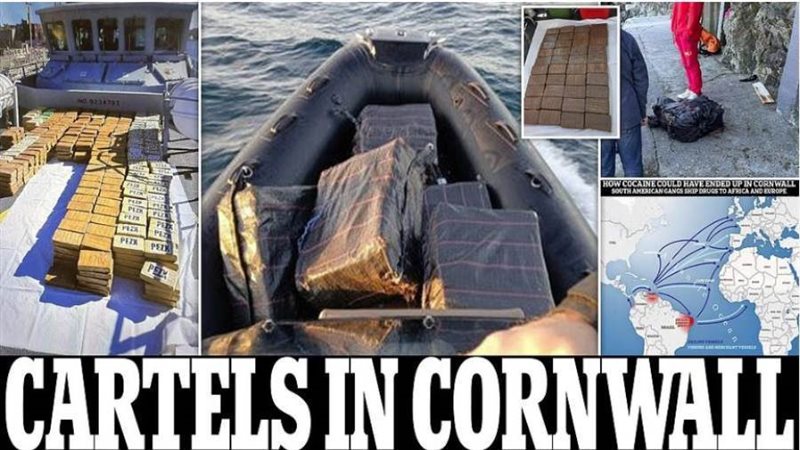 عصابات المخدرات في