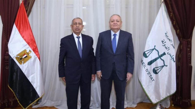 مجلس الدولة