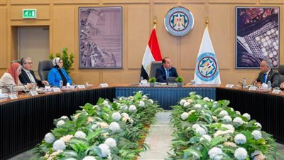 وزير المالية: دعم جهود تمكين القطاع الخاص المصري مع التوسع والنفاذ إلى الأسواق الأفريقية