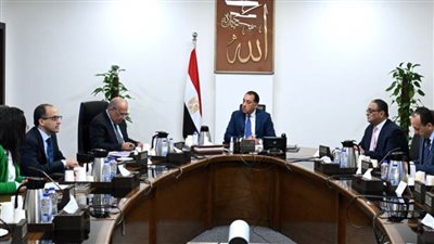 رئيس الوزراء يتابع توفير التغذية الكهربائية لمشروعات الدلتا الجديدة 