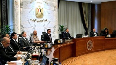 الحكومة توافق على قواعد لجان الحصر للمناطق المؤجرة للغرض السكني 