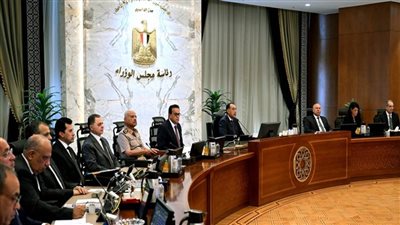رئيس الوزراء: نسعى إلى تحويل مصر لمركز إقليمي للطاقة 