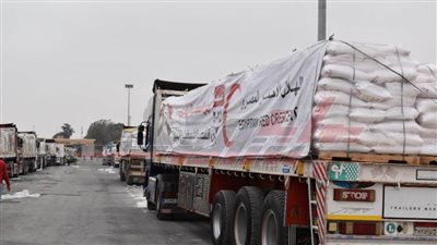 الهلال الأحمر المصري يدفع أكثر من 112 ألف سلة غذائية في قافلة «زاد العزة» الـ 14 إلى غزة  
