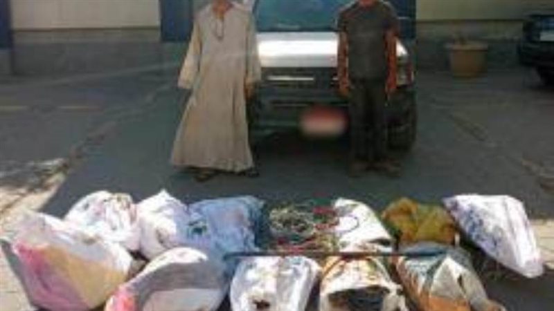 بوابة روز اليوسف