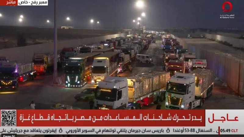 المساعدات المصرية