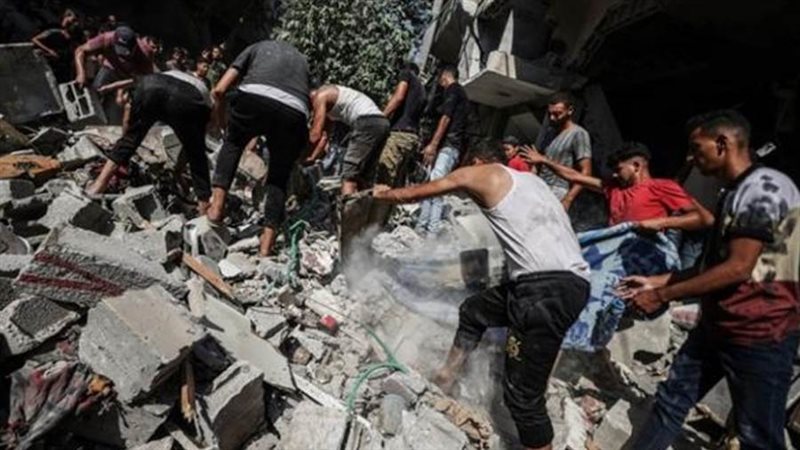 بوابة روز اليوسف