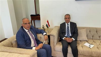 وزير الخارجية يؤكد تنسيق الجهود مع وزير الري لحماية الأمن المائي