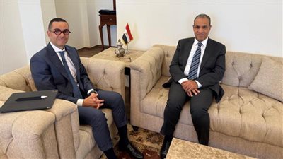وزير الخارجية يبحث مع وزير الاستثمار آليات جذب المزيد من الاستثمارات الأجنبية