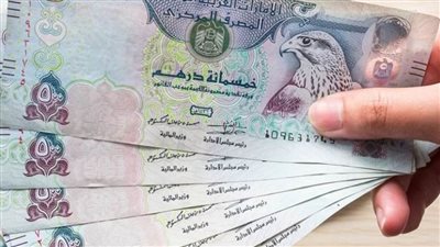 عاجل| تراجع سعر الدرهم الإماراتي اليوم مقابل الجنيه المصري