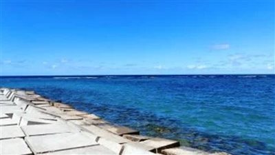 عاجل| الطقس اليوم كتل هوائية قادمة من غرب البحر المتوسط وراء انخفاض الحرارة